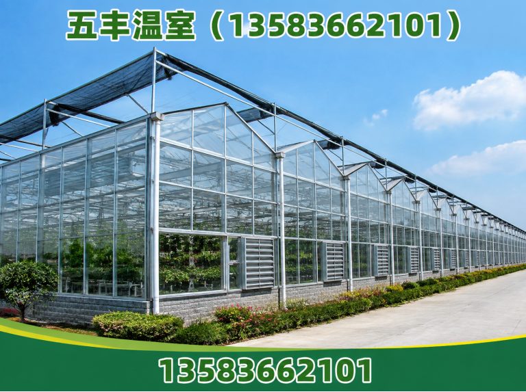 坊子区大棚建设展示图