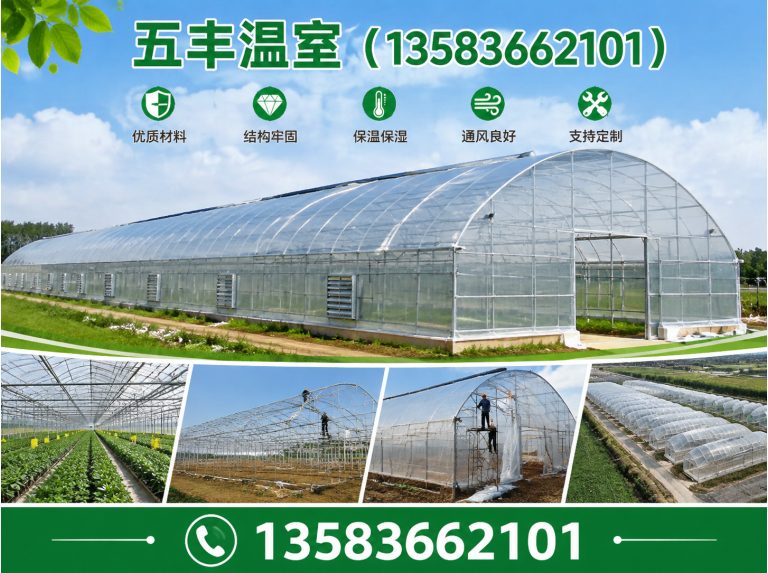 坊子区玻璃温室展示图